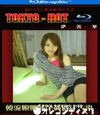 【Blu-ray 韓流娘嬲姦孕姦倭汁汚染 】の一覧画像