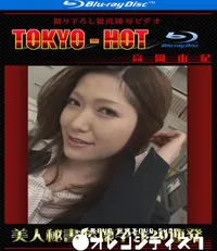 【Blu-ray 美人秘書膣壊孕汁20連発 】の一覧画像