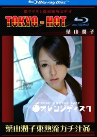 【Blu-ray 葉山潤子東熱流ガチ汁姦 】の一覧画像