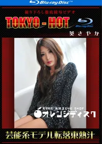 【Blu-ray 芸能系モデル転落東熱汁 】の一覧画像