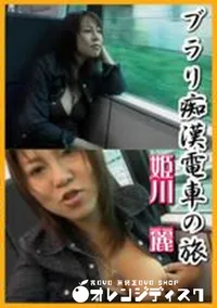 【ブラリ痴漢電車の旅】の一覧画像