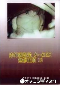 【赤外線盗撮 カーSEX 無修正版 12】の一覧画像