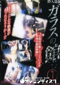 【潜入盗撮 ガラスの館1】の一覧画像