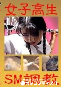 【女子高生 SM調教】の一覧画像