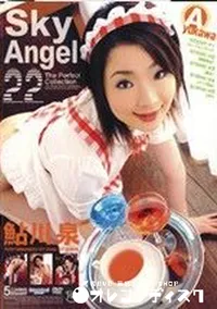 【Sky Angel スカイエンジェル 22】の一覧画像