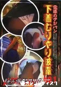 【電車のデジパン 下着むりやり披露 1ねらい撮りシリーズ 】の一覧画像
