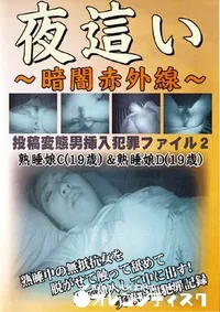 【夜這い 暗闇赤外線 投稿変態男挿入犯罪ファイル 2 】の一覧画像