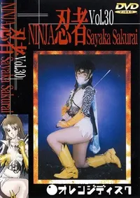 【忍者 30 】の一覧画像