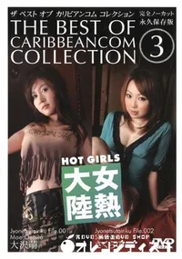 【THE BEST OF CARIBBEANCOM COLLECTION 3 】の一覧画像