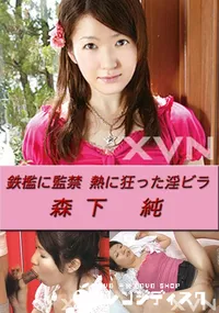 【鉄檻に監禁 熱に狂った淫ビラ 】の一覧画像