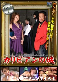 【カリビアンの城 】の一覧画像