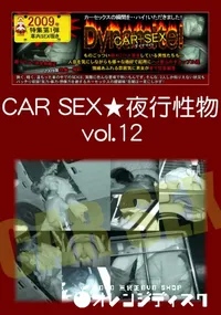 【CAR SEX ☆夜行性物 12】の一覧画像
