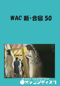 【WAC 新・合宿 50 】の一覧画像