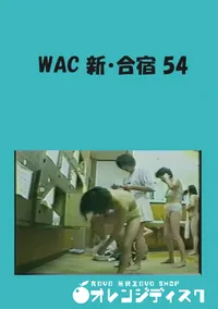【WAC 新・合宿 54 】の一覧画像