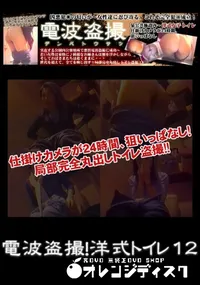 【電波盗撮!洋式トイレ 12】の一覧画像