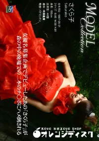 【Model Collection 78モデルコレクションエレガンス】の一覧画像