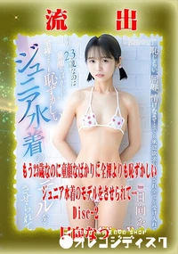 【【極秘流出】 日向なつ リメイク Disc-2】の一覧画像