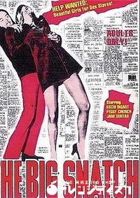 【ザ ビッグ スナッチ】の一覧画像