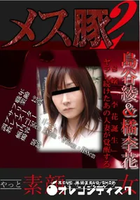 【メス豚2 S嬢「李花誕生」　ヤラレ続けたあの人妻が覚醒する 】の一覧画像