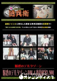 【魅惑のデルタゾーンVol.4 春夏秋冬1.No1 】の一覧画像