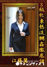 【S級牝東熱流嬲姦徹底調教 】の一覧画像