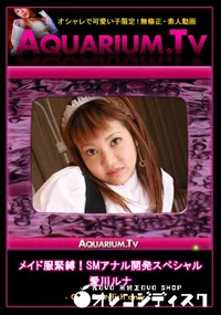 【メイド服緊縛!SMアナル開発スペシャル 】の一覧画像