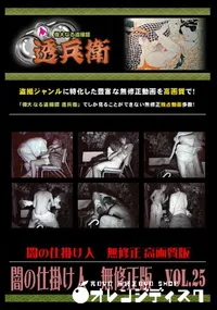 【闇の仕掛け人　無修正版　Vol.25 】の一覧画像