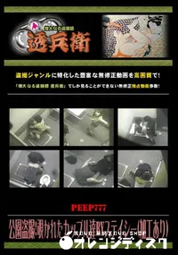 【公園盗撮!覗かれたカップル達byステイシー 】の一覧画像