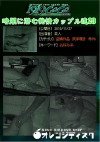 【暗闇に潜む発情カップル達23】の一覧画像