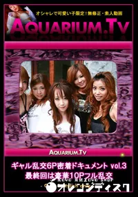 【ギャル乱交6P密着ドキュメント vol.3　最終回は豪華10Pフル乱交　】の一覧画像