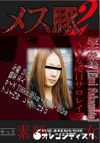 【AV女優日サロレイプ 】の一覧画像