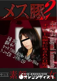 【オナニー盗撮犯に犯された自慰女 】の一覧画像