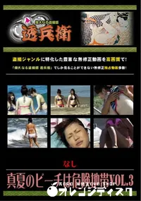 【真夏のビーチは危険地帯Vol.3 】の一覧画像