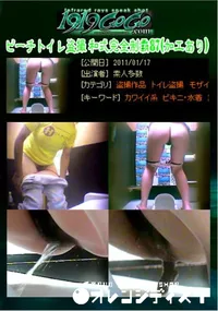 【ビーチトイレ盗撮 和式完全制覇87 】の一覧画像