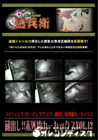 【蔵出し!!赤外線カーセックスVol.12 】の一覧画像