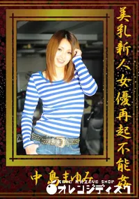 【美乳新人女優再起不能姦 】の一覧画像