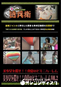 【美少女を探せ!!真夏のビキニハーレムVol.2 】の一覧画像
