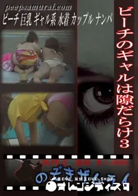 【ビーチのギャルは隙だらけ3 】の一覧画像