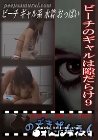 【ビーチのギャルは隙だらけ9 】の一覧画像