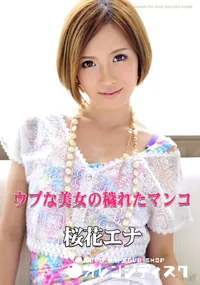 【ウブな美女の穢れたマンコ 】の一覧画像