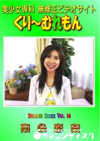 【Stealth Series Vol. 14 】の一覧画像