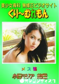 【メス猫 前編 】の一覧画像