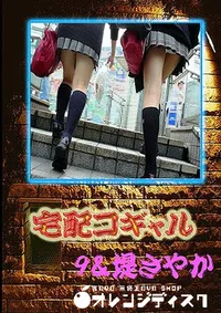 【宅配コギャル 9&堤さやか　】の一覧画像