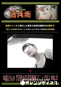 【18番さんの「女達の洋式洗面所マニュアル」 Vol.17 】の一覧画像