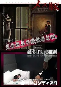 【メス豚 完全犯罪の犠牲者はOL】の一覧画像