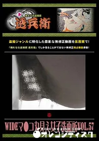 【WIDEマ●コ丸見え女子洗面所 Vol.57 [-]】の一覧画像