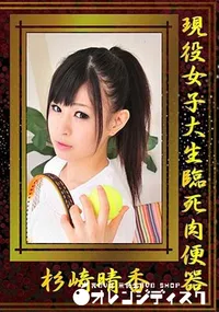 【現役女子大生臨死肉便器 [杉崎晴香]】の一覧画像