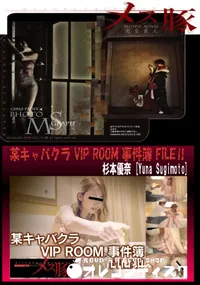 【某キャバクラ VIP ROOM 事件簿 FILEⅡ】の一覧画像