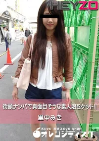 【街頭ナンパで真面目そうな素人娘をゲット!!】の一覧画像