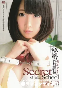 【S Model Vol.150 秘密の放課後エッチタイム】の一覧画像